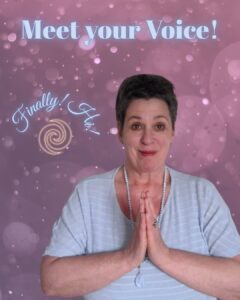 Meet your Voice