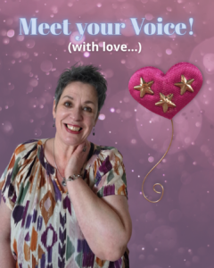 Meet your Voice